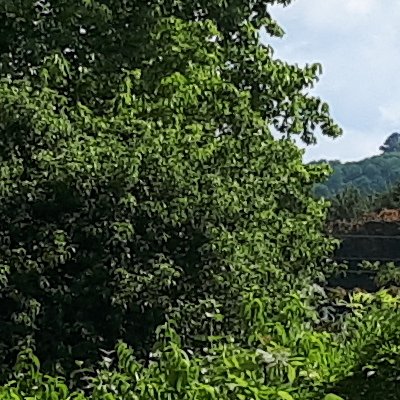 Jardin François