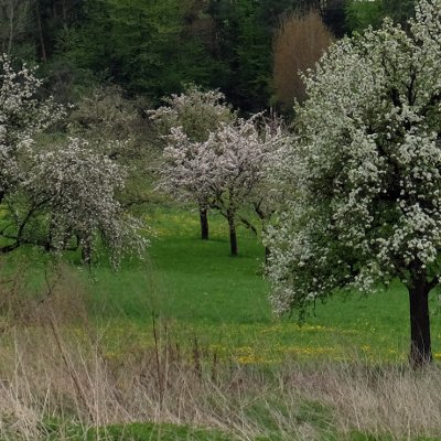 Sur la route de Calw et d'Hermann Hesse