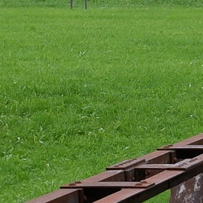 Retour à Urnäsch chez Lise