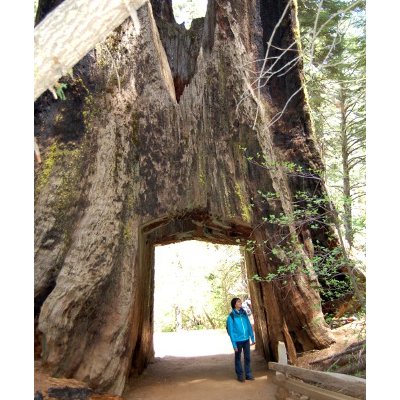 Yosemite Park