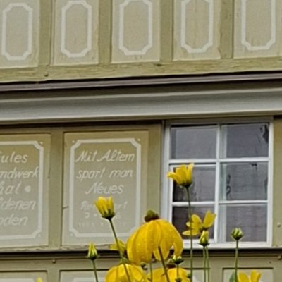 Sur les traces de Robert Walser à Herisau