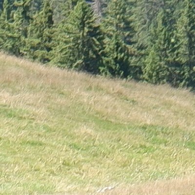 Balade au Moléson vers la buvette du Gros plané
