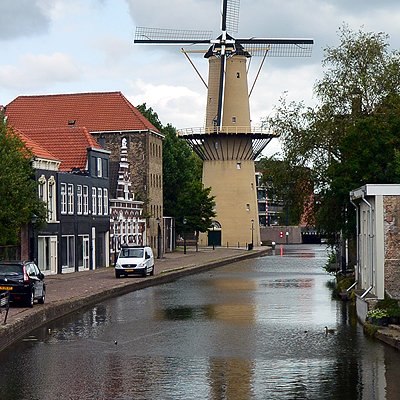 Les moulins qui dominent les rues de Schiedam 
