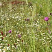 Sur la route des Pouilles