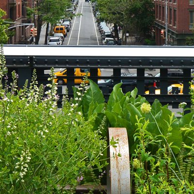 Un bout de la High line de New york