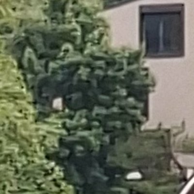 Retour à Urnäsch chez Lise