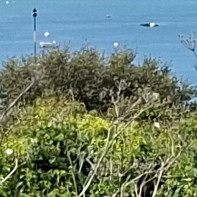 Bol d'air aux Îles de Chausey