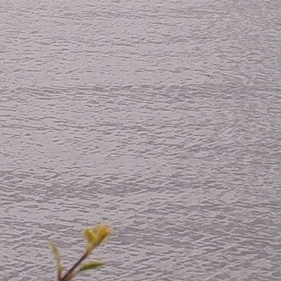 Lac de Constance, encore sous la pluie