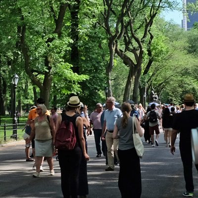 Balade un dimanche dans Central park