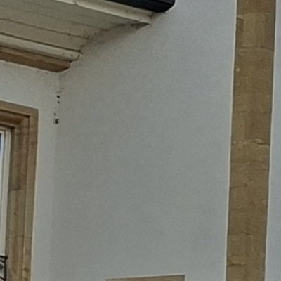 Découverte de Neuchâtel