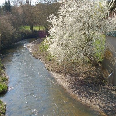 En suivant la Sarthe, du Mans à Alençon