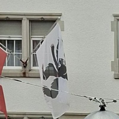Appenzell : musée et extérieur pluie