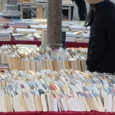 Parc Georges-Brassens et son marché aux livres l'hiver