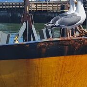 Dernier voyage à SF ?