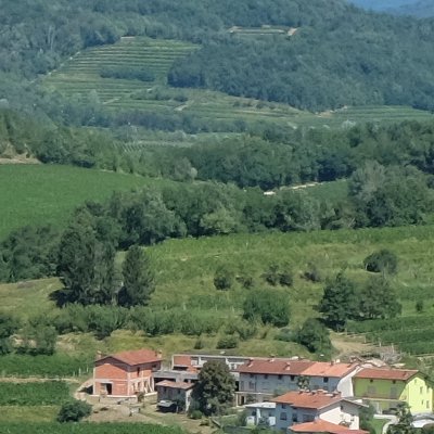 Strada del Vino e Sapori Colli del Friuli
