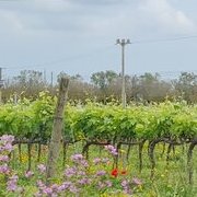 Sur la route des Pouilles
