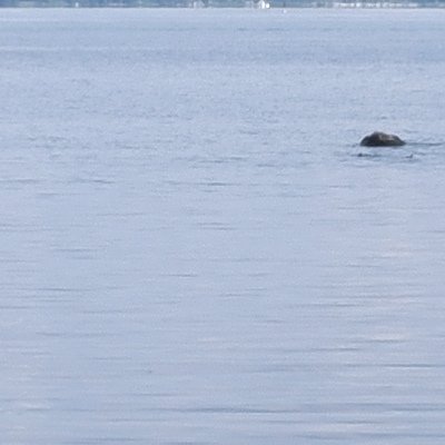 Hauterives sur le lac de Neuchâtel