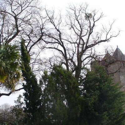 Vannes