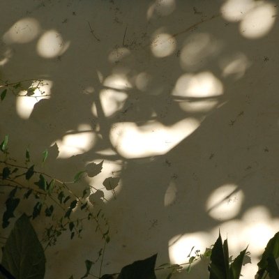 Jeux d'ombres en Arles