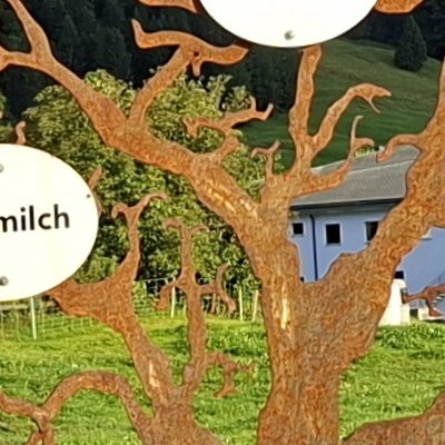 Retour à Urnäsch chez Lise