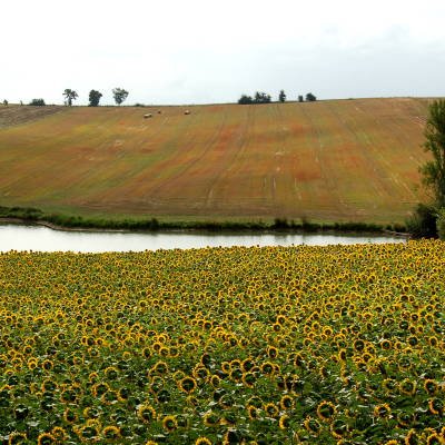 Le Gers à travers champs