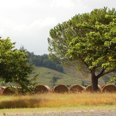 Le Gers à travers champs