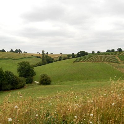 Le Gers à travers champs