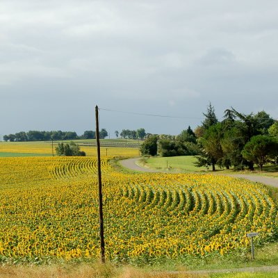Le Gers à travers champs