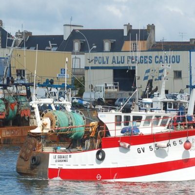 Matinée portuaire