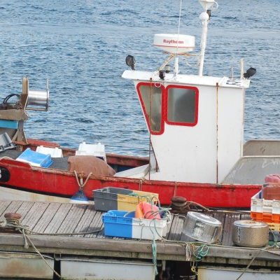 Matinée portuaire