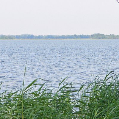 Les étangs de Loosdrecht