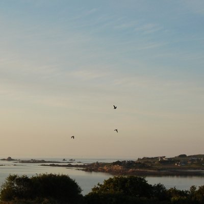 La rivière de Morlaix