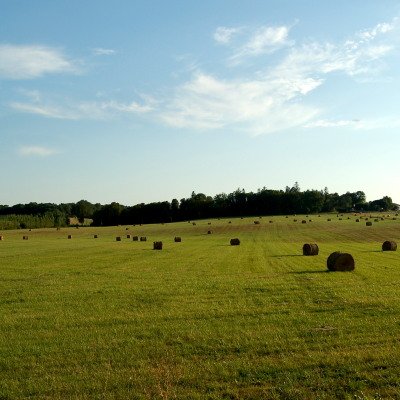 Le Gers à travers champs