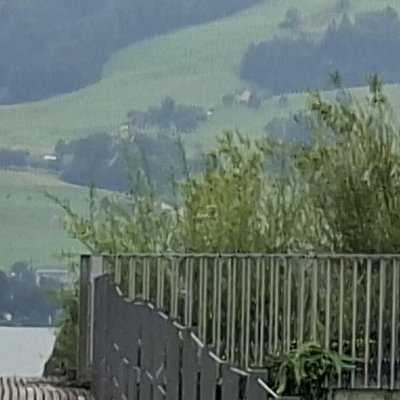 Retour à Rapperswil-Jona
