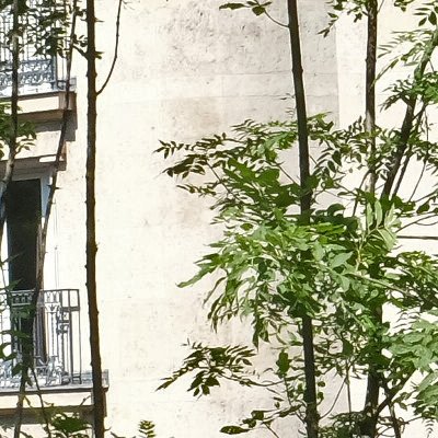 Promenade dominicale vers la place de la laïcité