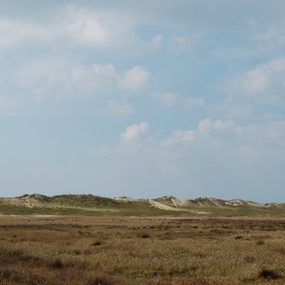 champs, dunes et marécages