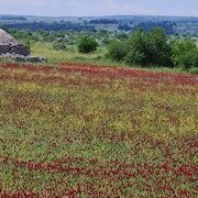 Sur la route des Pouilles