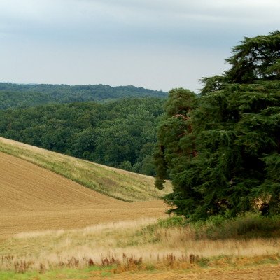 Le Gers à travers champs