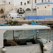 Monopoli